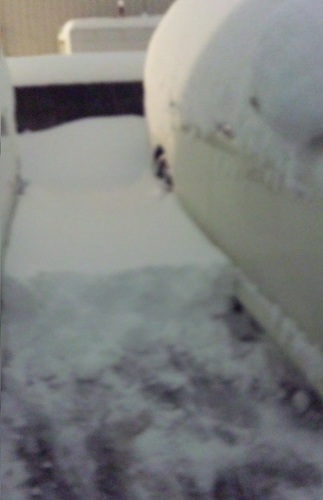 DVC00008-002大雪なの♪.jpg