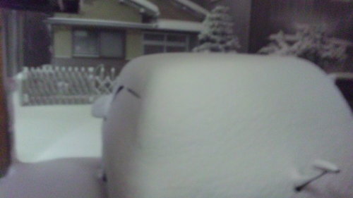 DVC20110116-1大雪なの.JPG