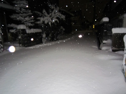IMG_20120126-001大雪です～♪.jpg