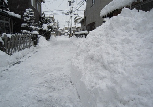 IMG_20120220-002大雪♪.jpg
